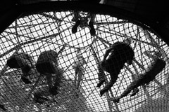 Austin, 2024