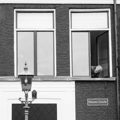 Haarlem, Netherlands, 2025