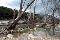 Austin, 2011