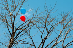 New Mexico, 2011