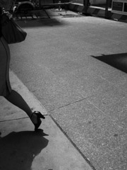 New York, 2013