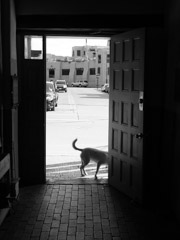 Santa Fe, 2014