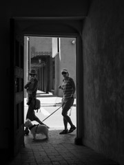Santa Fe, 2014