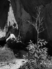 Bandelier National Monument, 2014