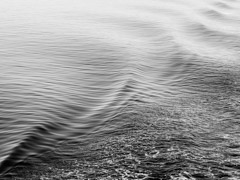 Isle of Mull, 2012