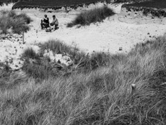 Isle of Mull, 2012