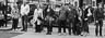 tourists-locals/20120608-085051-0096.jpg