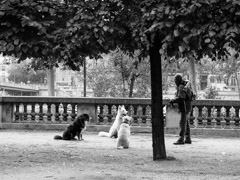 Paris, 2012