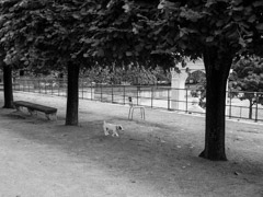 Paris, 2012