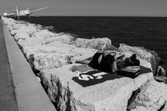 Marina di Ravenna, 2023